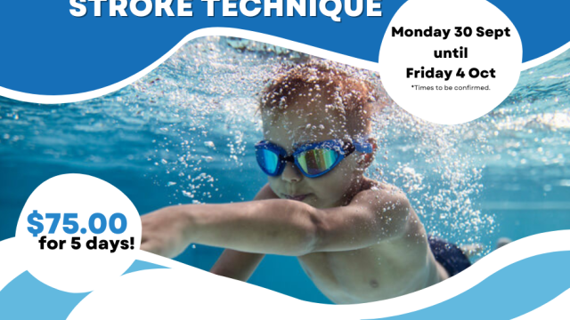 Stroke Technique Workshop