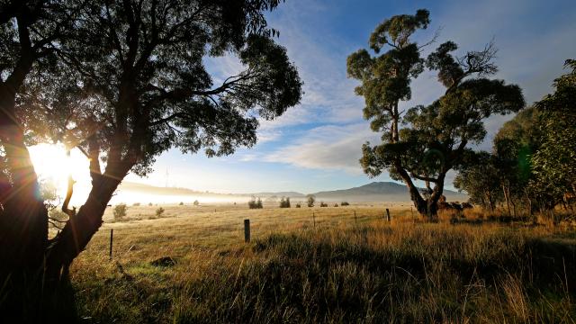 rural wine farm