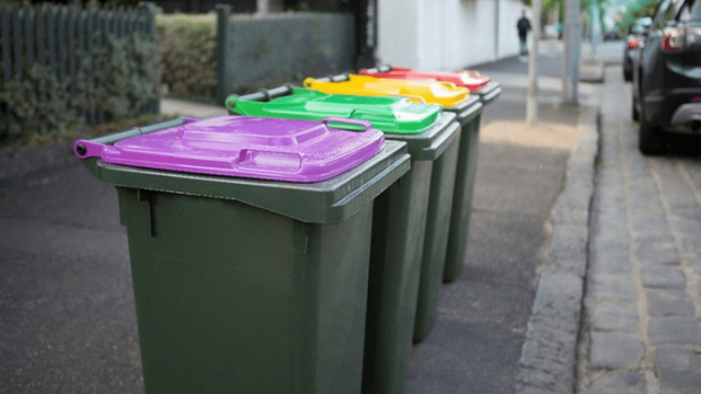Bins in a row showing green, yellow, red and purple