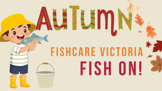 aUTUMN FISH ON