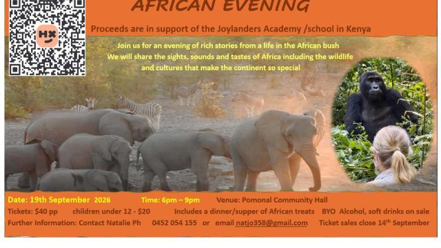 African Evening Flyer