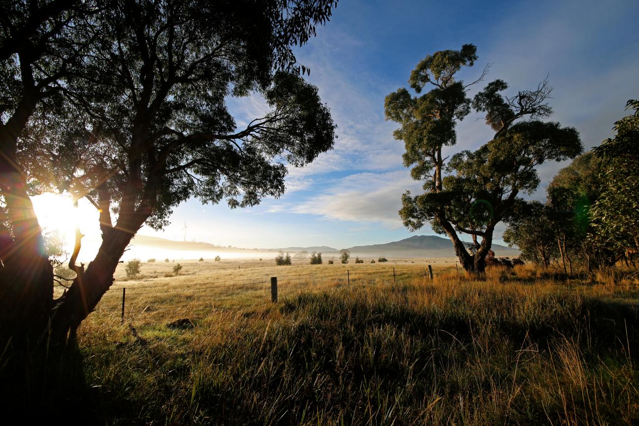 rural wine farm