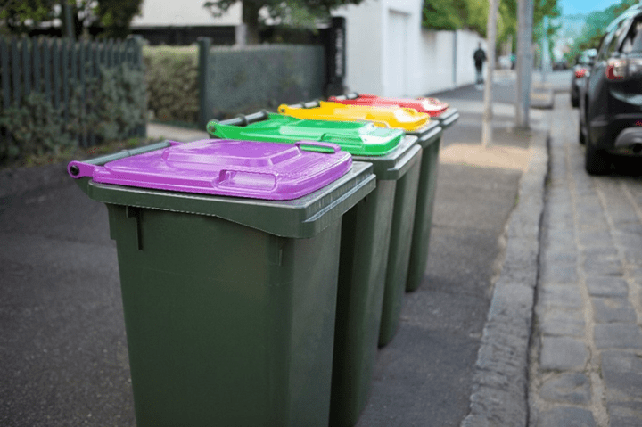 Bins in a row showing green, yellow, red and purple