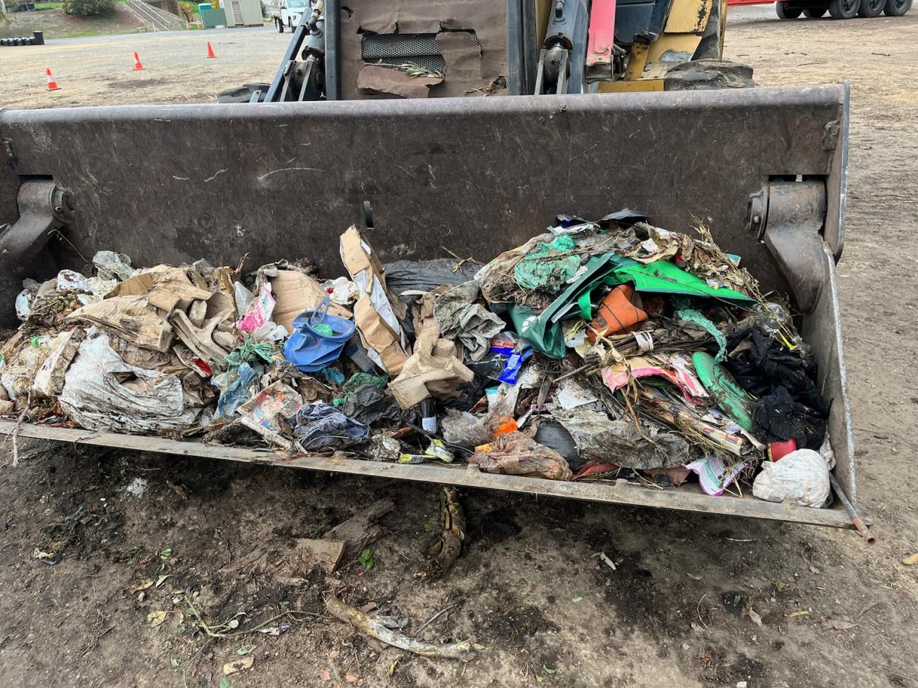 green waste contamination