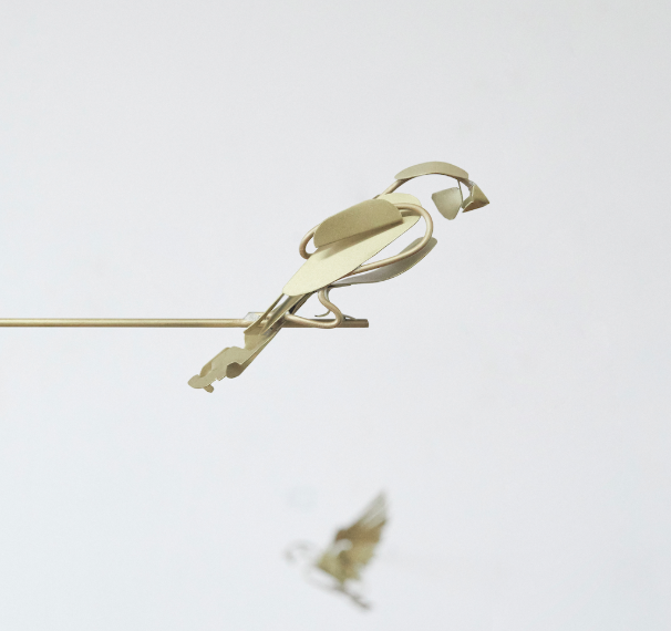 Finch for Sparrows Lane