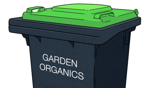 Garden Organics Bin Green Lid