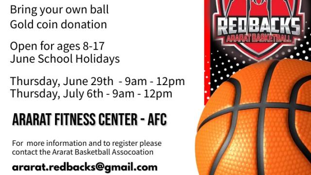 Term 3 Basketball Clinic