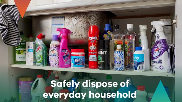 Detox your home