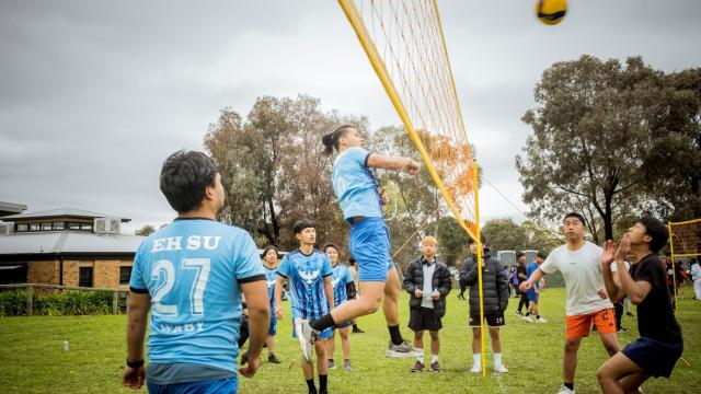 Harmony Day Volleyball