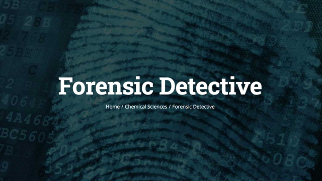 forensic detective