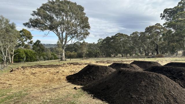 Compost pile