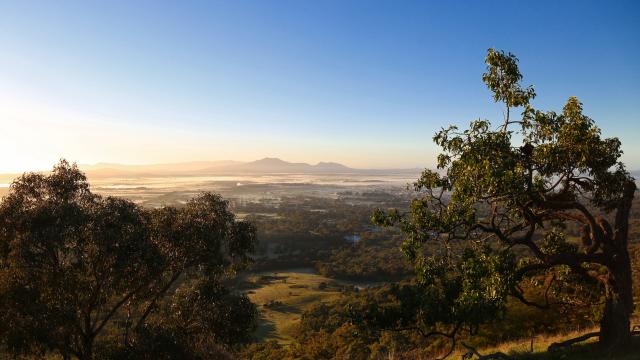 View of the surrounding bushland