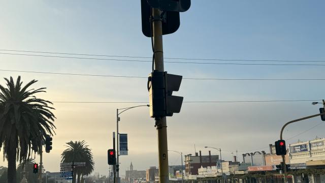 Traffic light in an urban streetscape