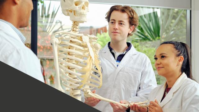 a group of young doctors