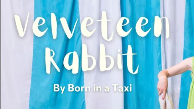 Velveteen Rabbit