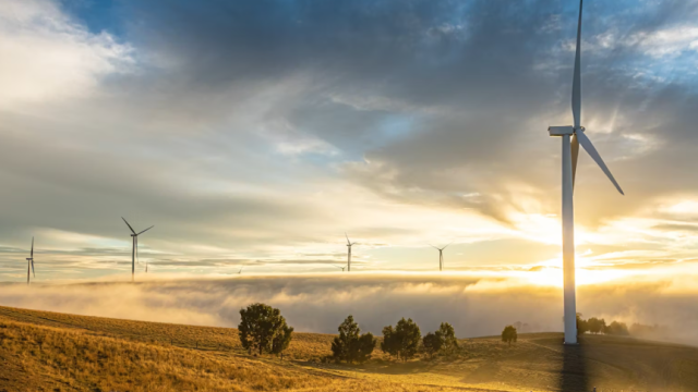 Windfarm image