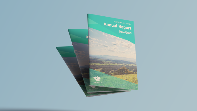 Annual report 20242025