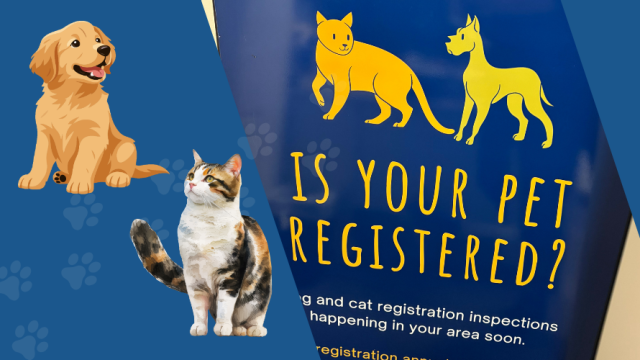 Pet signage road trip