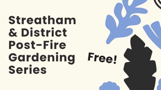 streatham fire gardening series