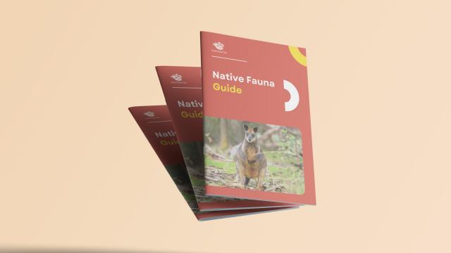 Native Fauna Guide_pic.jpg
