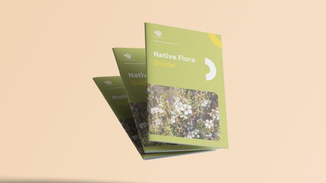 Native Flora Guide_pic.jpg