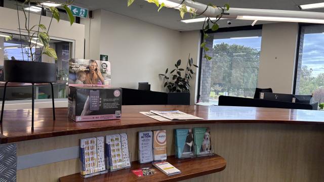 Council customer Service