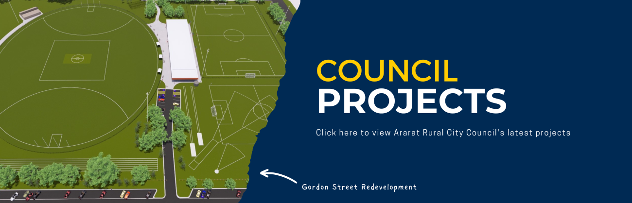 Council Projects Banner