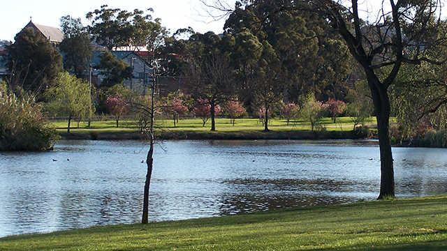A lake within a park