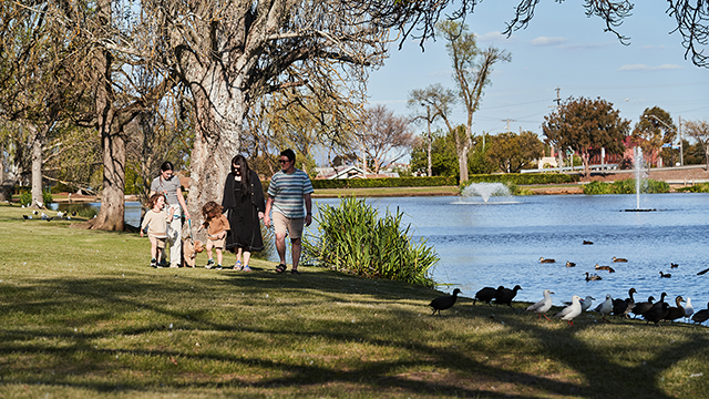 Man and woman with two small children walking along the edge of a lake on a sunny day. There are ducks on the ground