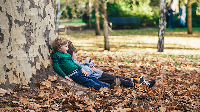 Three young boys sitting down and leaning against a large tree in a park, which has dropped many of its orange leaves