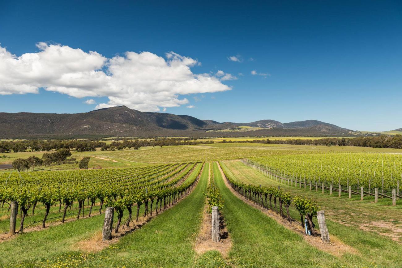 Winery