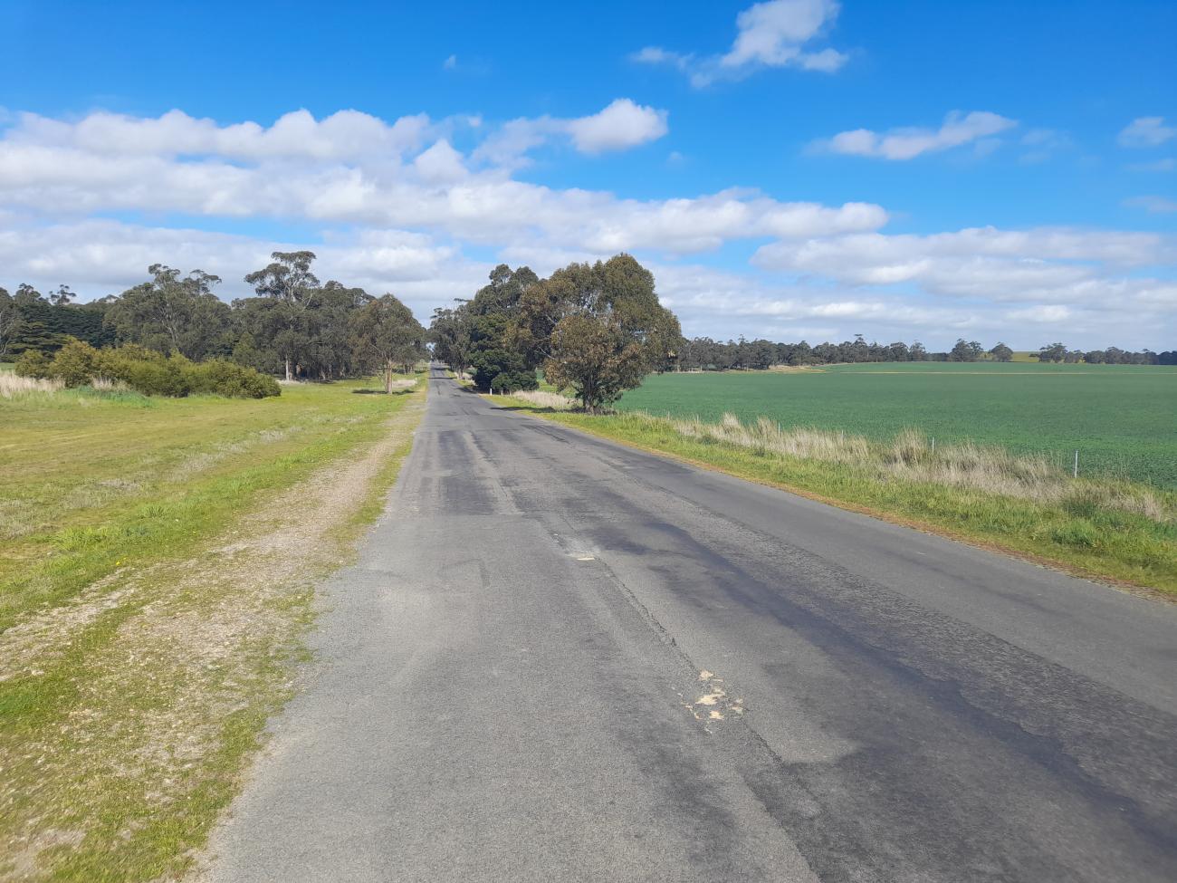 Mt William Road_Roads to Recovery.jpg