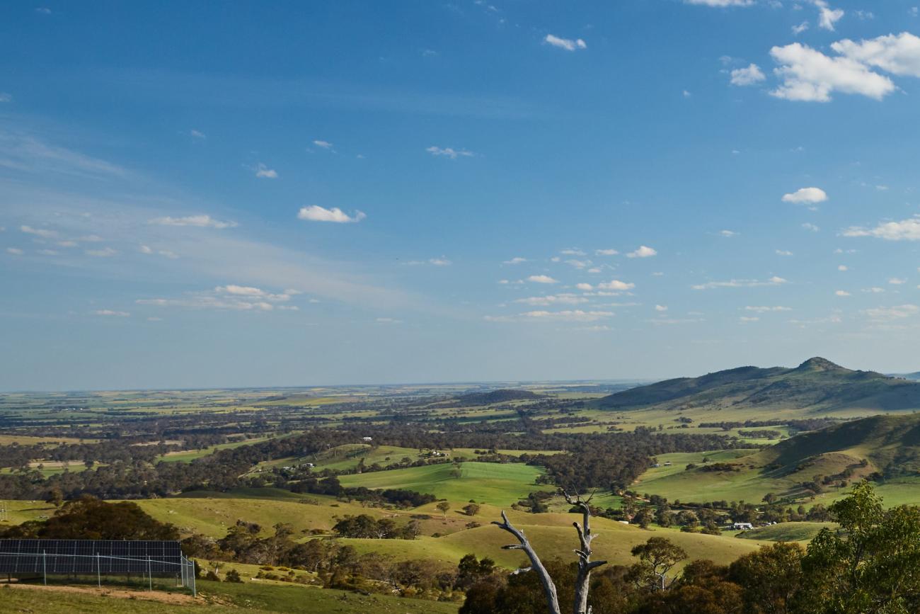 Rolling hills viewed from One Tree Hill