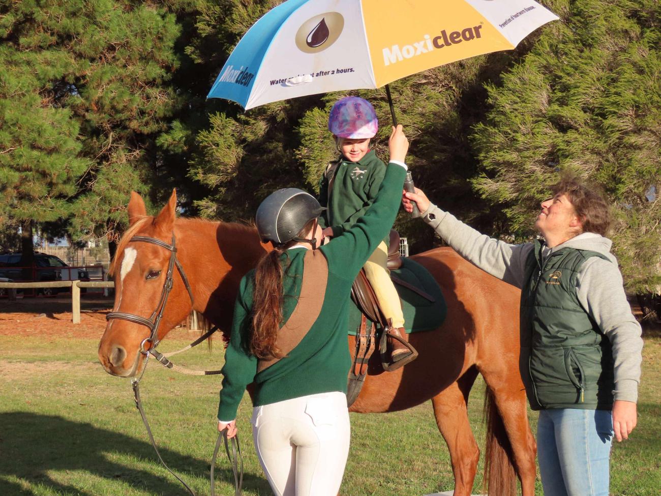 A rider on a horse at the Ararat Pony Club