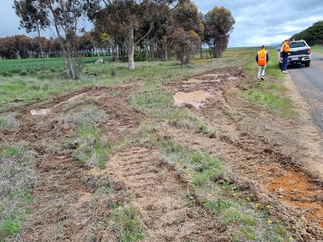 Mount William Road roadworks are underway