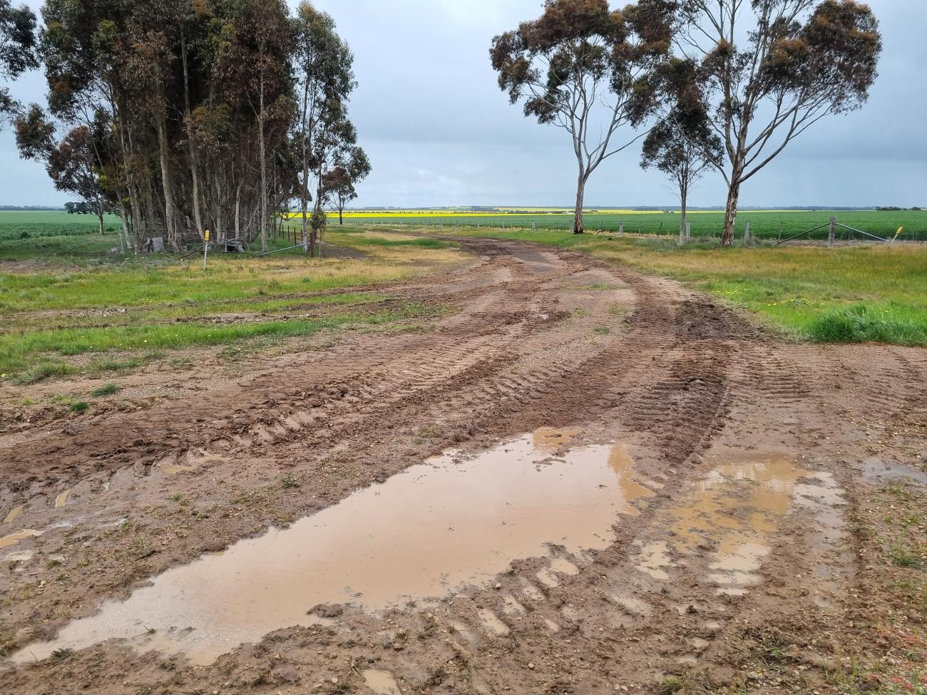 Mount William Road roadworks are underway