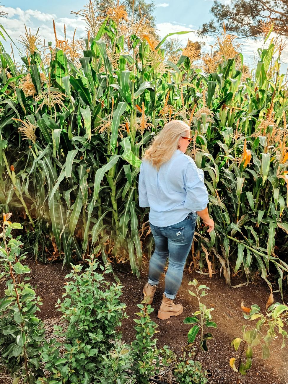 Tag and her sunflowers