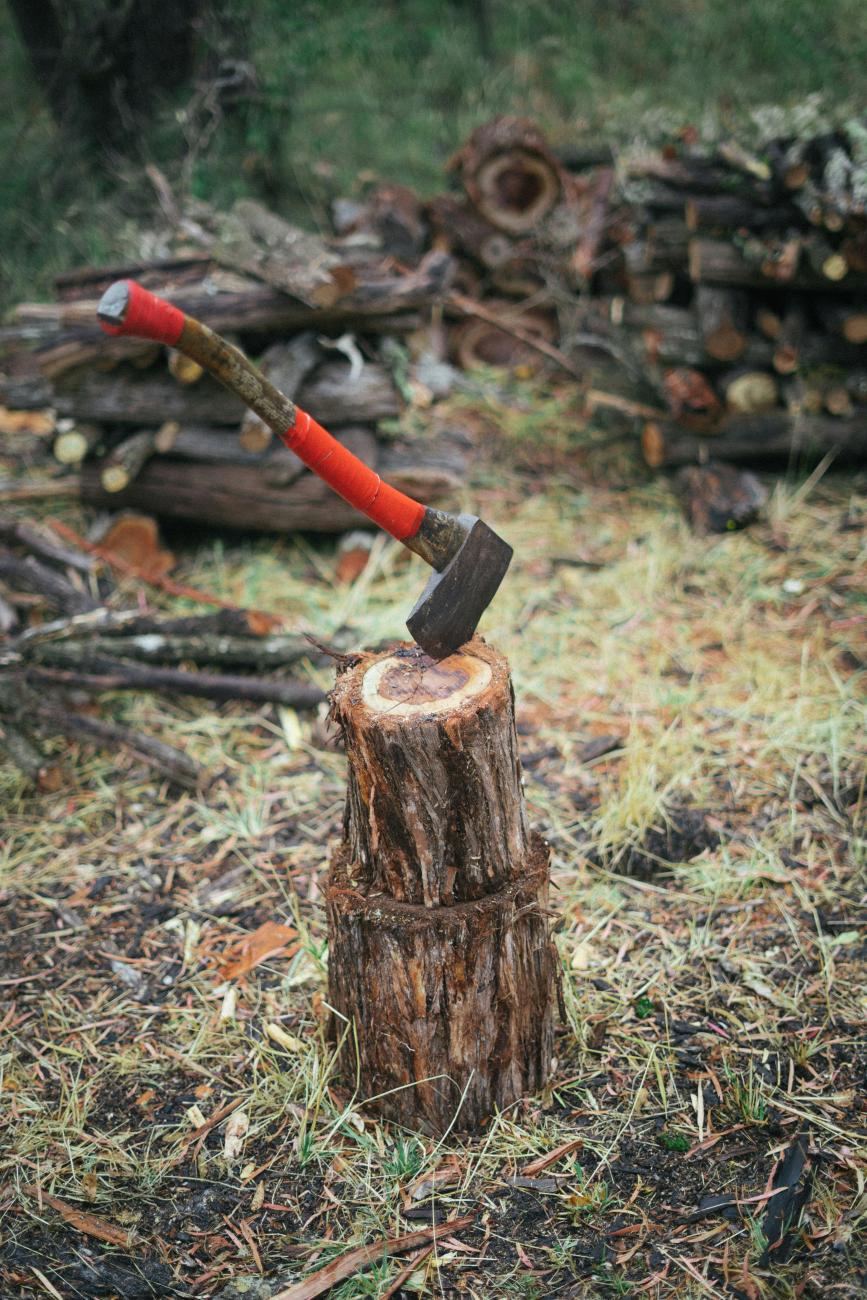 Firewood