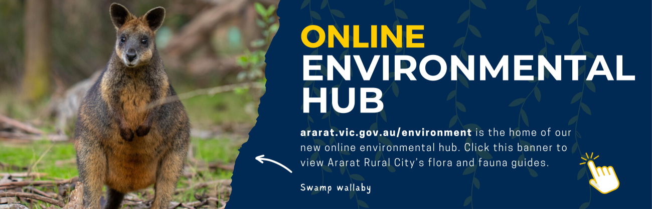Online environmental hub