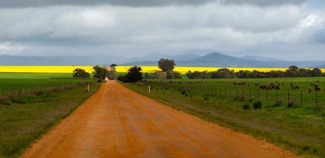 Watgania Road