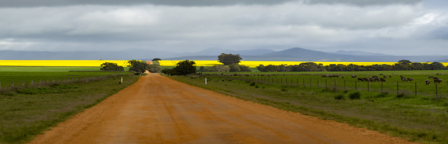 Watgania Road