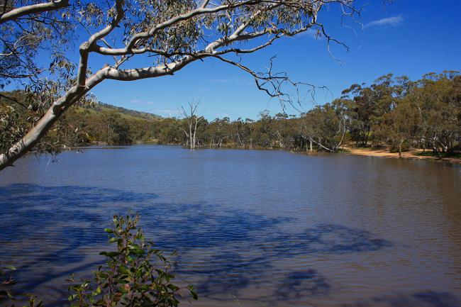 Norval Dam