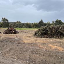 Green Waste