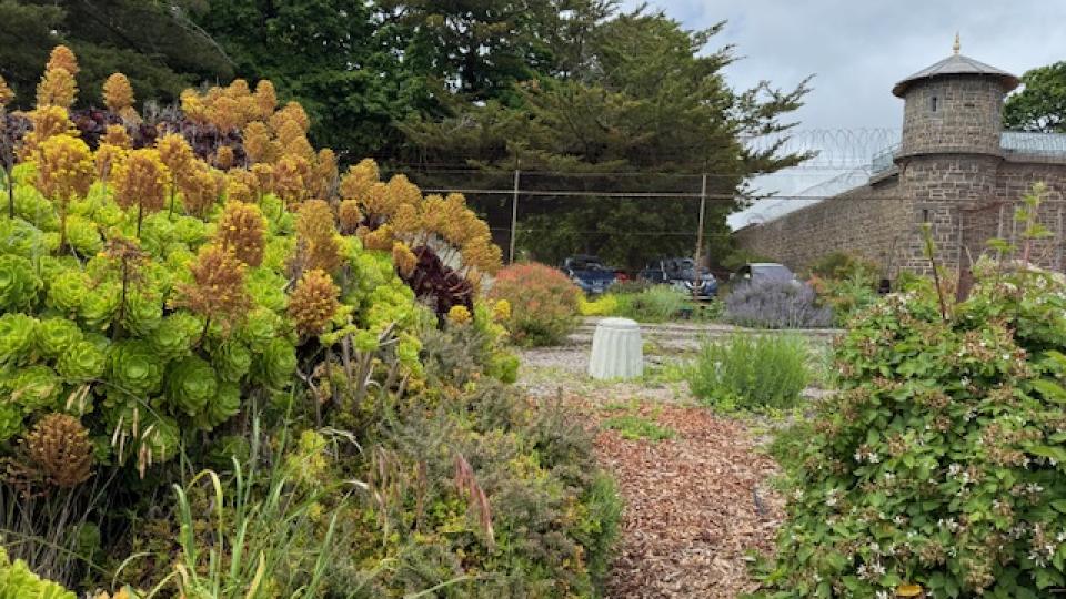 Ararat Community Garden at J Ward