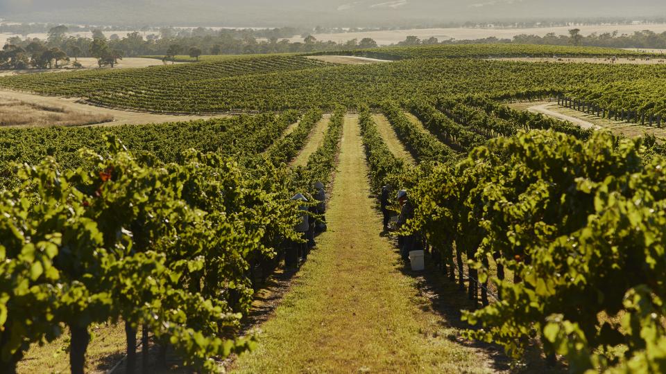 Mt Langi Ghiran Winery