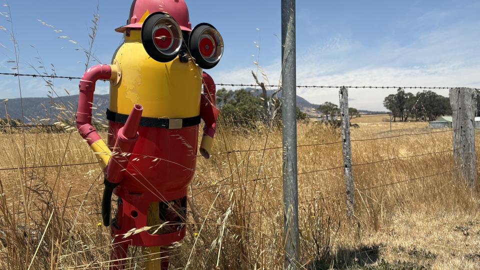 Warrak minion trail
